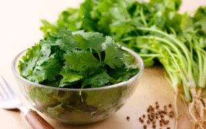 cilantro leaves, seeds and roots in bowl.
