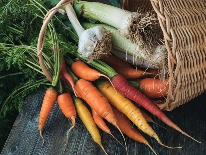 Fall Veggies You’re Probably Overlooking