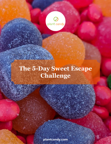 The 5-Day Sweet Escape Challenge